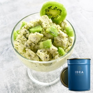 PASTA KIWI - owocowa pasta do lodów, deserów i ciast 4 KG <br /> CENA ZA KG 50,50 ZŁ